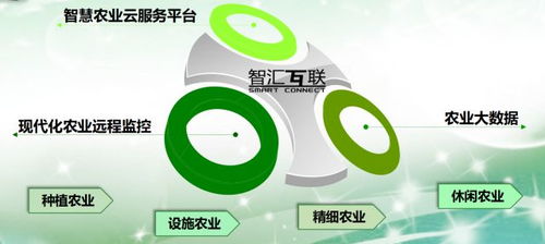 論軟件企業(yè)如何轉(zhuǎn)型智慧農(nóng)業(yè)信息咨詢服務(wù)